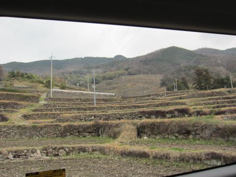 小豆島は山が多いので（おかげでウルトラは坂だらけ！）、段々畑。耕すと石がごろごろ出てきたので、それで棚田の石垣を作ったそうです。