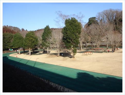 成田エアロビクスセンターのトラック