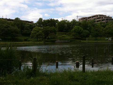 都筑緑道シリーズ「徳生公園」