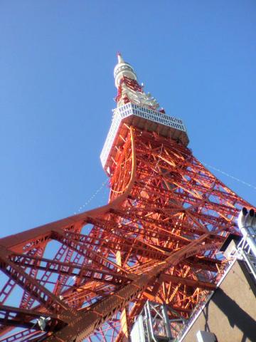 かぁ～～～～っ！これが、東京タワ～～～っすか！