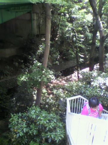 ZAKOJIさん、上は環八が通ってるとお伝えしたら、やおら駆け出し・・・階段を上り・・・