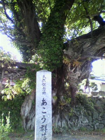 こんなのが、あちこちあり・・・