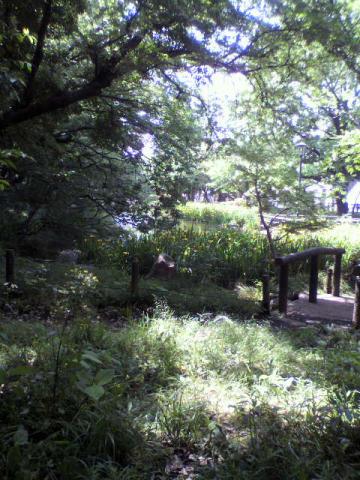降りていくと～こんな感じで～