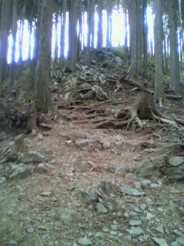 人生は険しい！