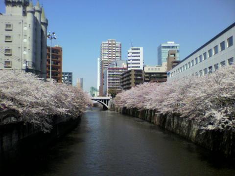 ２０１１年の　ざ・めぇぐぅろぉがぁわぁ～