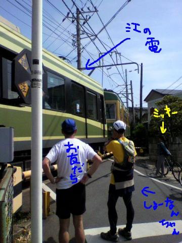 湘南さんの行く手を阻む江ノ電～♪