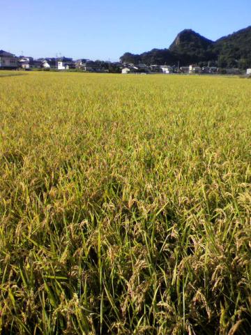走るほどお腹を空かす私かな～