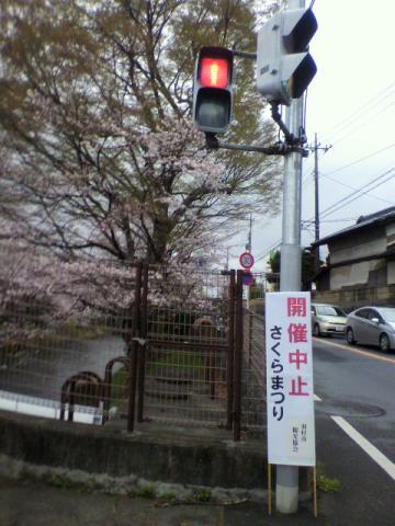 あら、開催中止・・・自粛かにゃ？