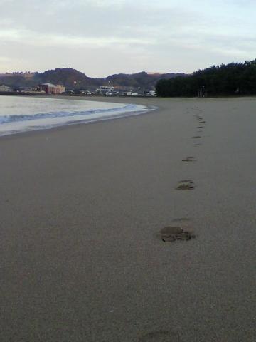 浜辺を念願のスギョリましたぁ♪　開放感～～～