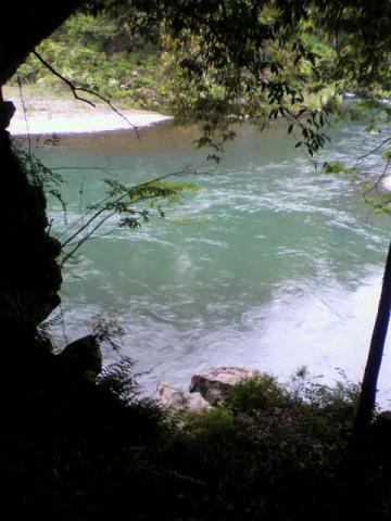 多摩川沿いの遊歩道を走ったけれど、花が色とりどりで、緑も沢山で、とっても綺麗だった～