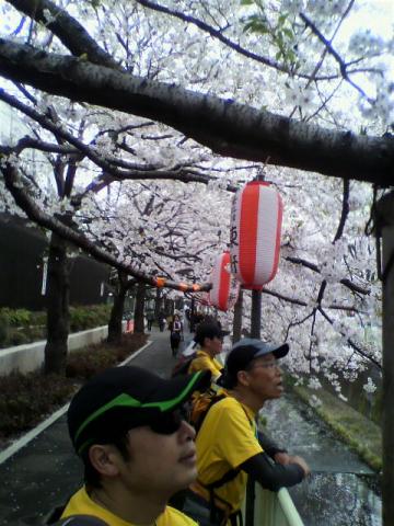 花見三兄弟の一日はおわりました～