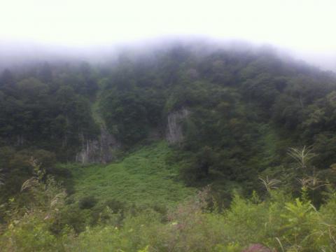 天気が曇ってきて、空気が冷たくなってきました。悪癖の壁？で、ぱちり（＾＾）ｖ