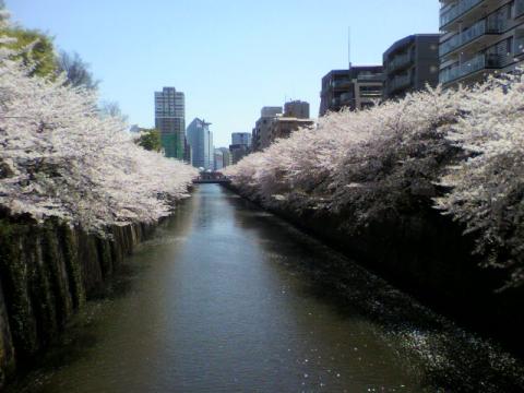 はい、めぇぐぅろぉがぁわぁ～！