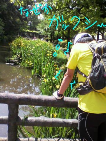 一人での写真になると、いきなり・・・こんな感じ・・・
