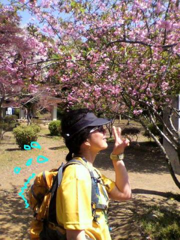 ザックの重みに耐えながら、健気に花見をするJIFUちゃん。