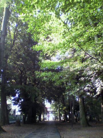 朝～　清清しい初夏の香り～♪