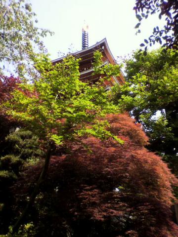 ちゃ～らら、ちゃ～らっら♪そうだ、尾山台行こう～傅乗寺