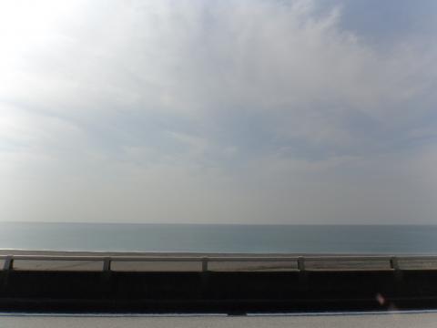 桂浜