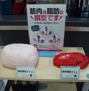 体脂肪2kg