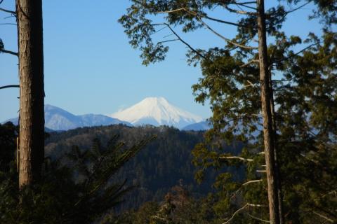 富士山とはご縁があるのかいつもご機嫌な姿を見せていただいています。しあわせ。