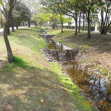 水は澄んでいて美しい。ザリガニが見えたりする。