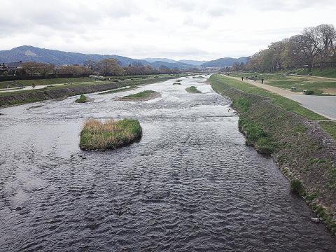 北大路から鴨川の下流を望む。