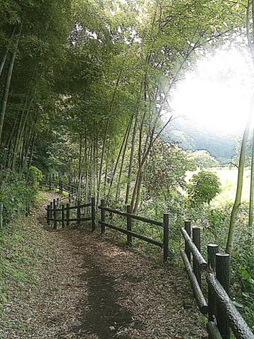 こちらは谷道。右に水田が広がる。