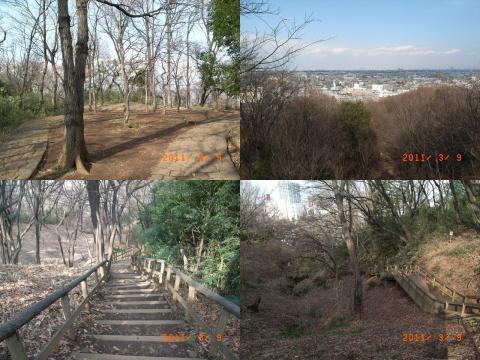 景色がいいです。