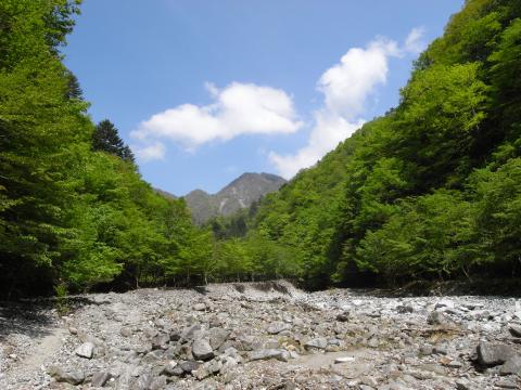 美しい沢で、とりあえず撮影したけど、はっきり言ってヘロヘロ。