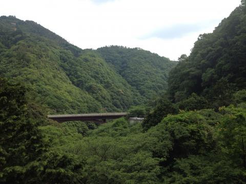 帰りの駅、保津峡より山々を望む。