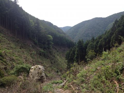 京都市内（右京区）なのにもはや里山の趣。