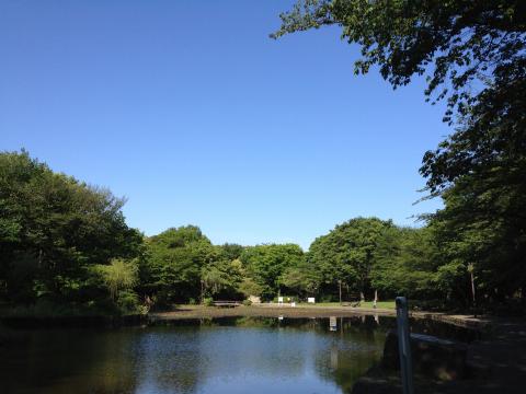 カラッとしてとても気持ちよかった。