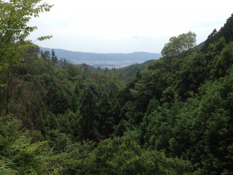 京都の山は眺望が余りよくないけれどさすがに「京見峠」と言うだけあった。