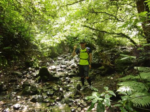 帰りは6号路を行きました。熱帯雨林の川の中を下って行く感じ、幸い天気は持って、木漏れ日が素敵。でも蒸し暑い。