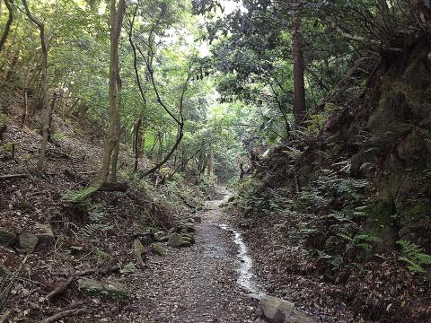 走って30分ほどで登山道入り口に着く。