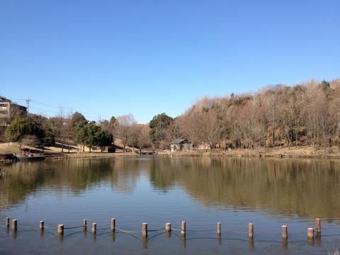 こんなに良い天気。走れただけ幸せです!