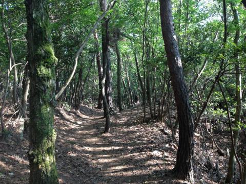 すぐにこんな山道に。里山の趣がある。