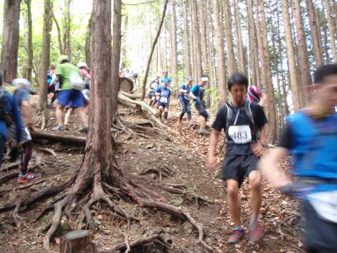 棒ノ嶺折り返し。速い下りの選手はマジ下り。