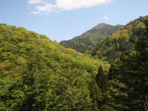 大山を裏側から望む。