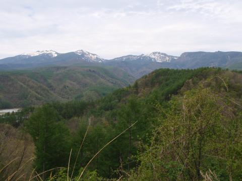 45キロ地点。左から横岳、天狗岳、根石岳。