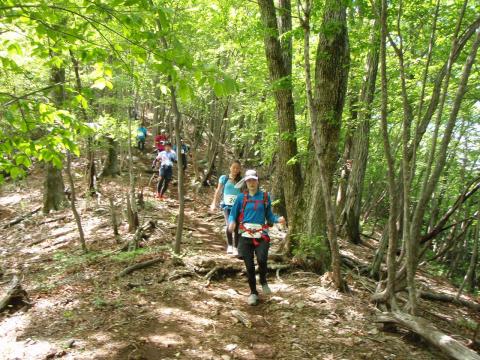 くだりは気持ちの良い傾斜が続く極上ラン。