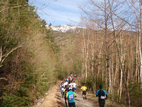 南八ヶ岳林道を行く。前方に横岳。