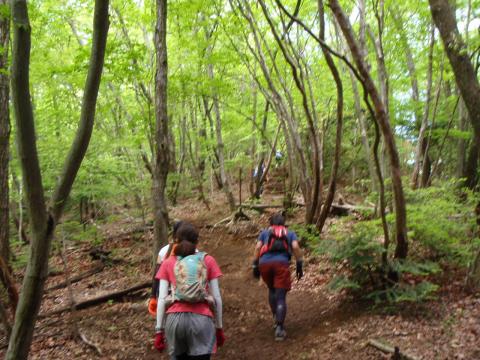 成木の森トレイルラン