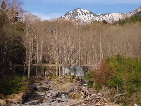 赤岳。青空と残雪クッキリ。