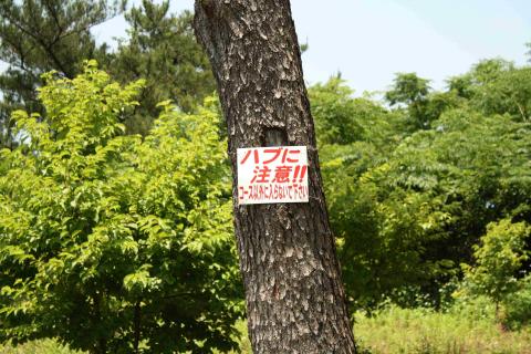 コース外には出ないように・・・。