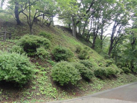 タマランすなぁ・・・。←（わかったから、マニアックな写真はもうやめろｗ）