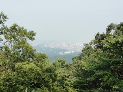 山頂からの眺め
いまいちですな