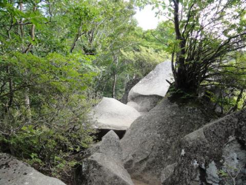 行く手を阻む岩