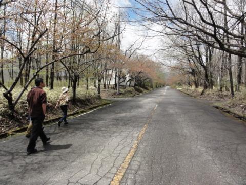 いいかんじの坂道があるじゃないですか。