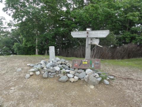 鷹ノ巣山頂上到着！　虫が多くてゆっくり食事もできない・・・。